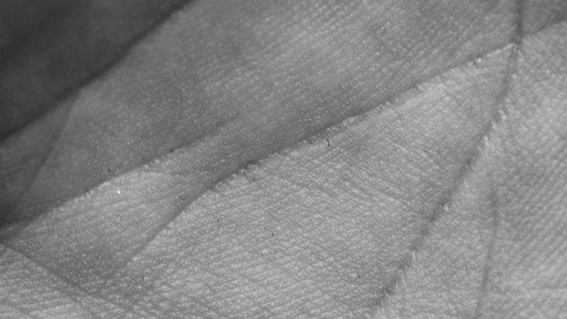 GravurMeister GmbH - Image 13